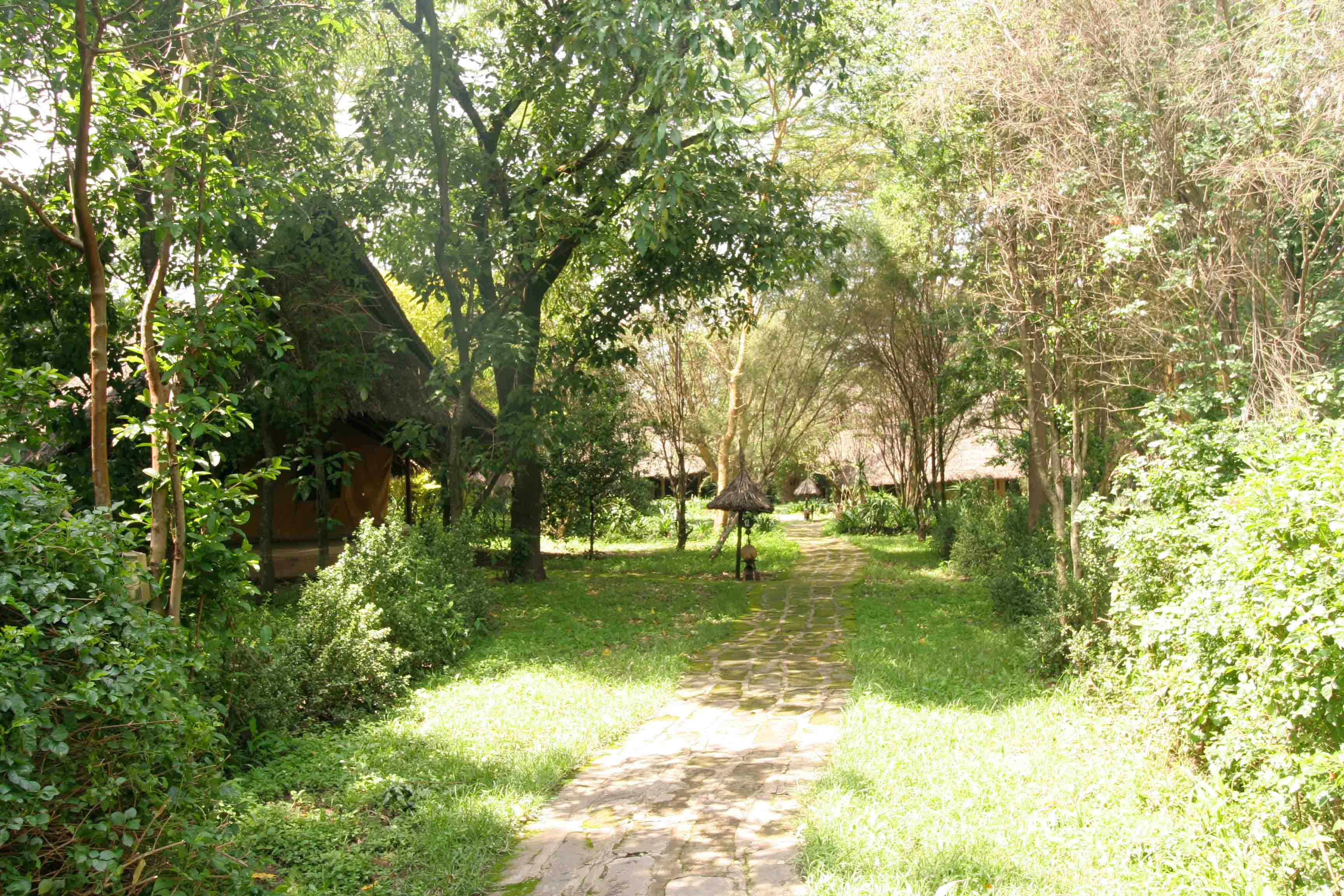 Gallery Image 6 - Dining