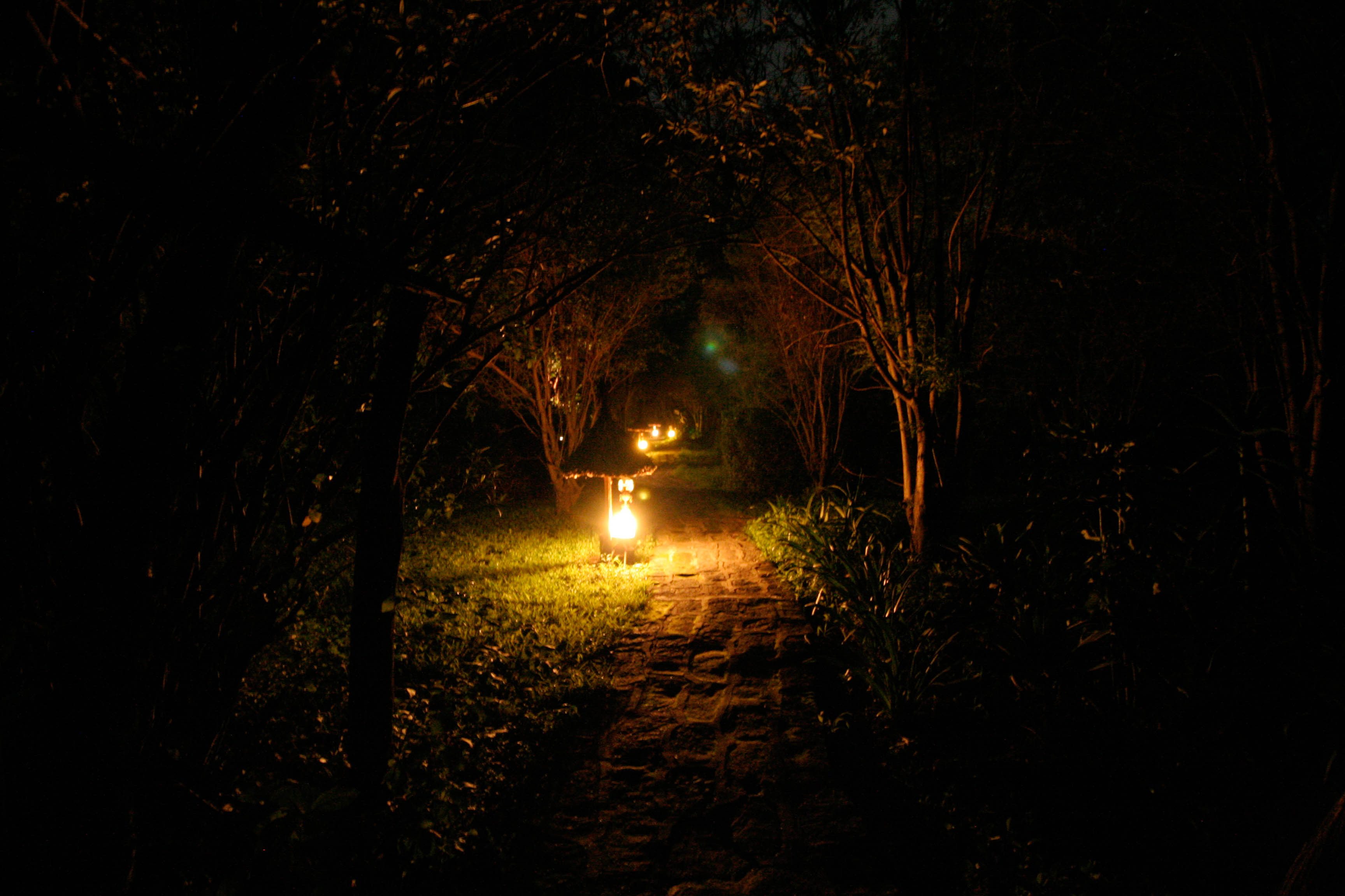 Gallery Image 6 - Dining