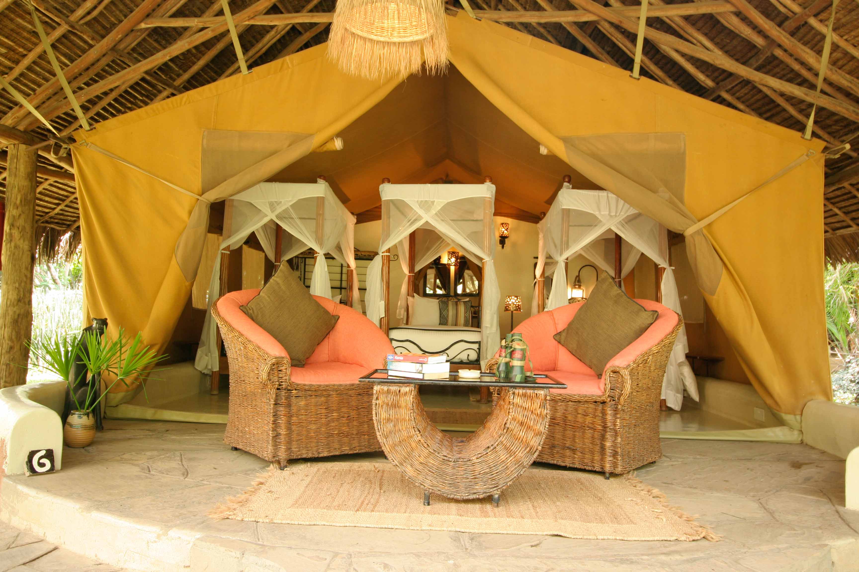 Gallery Image 4 - Activity