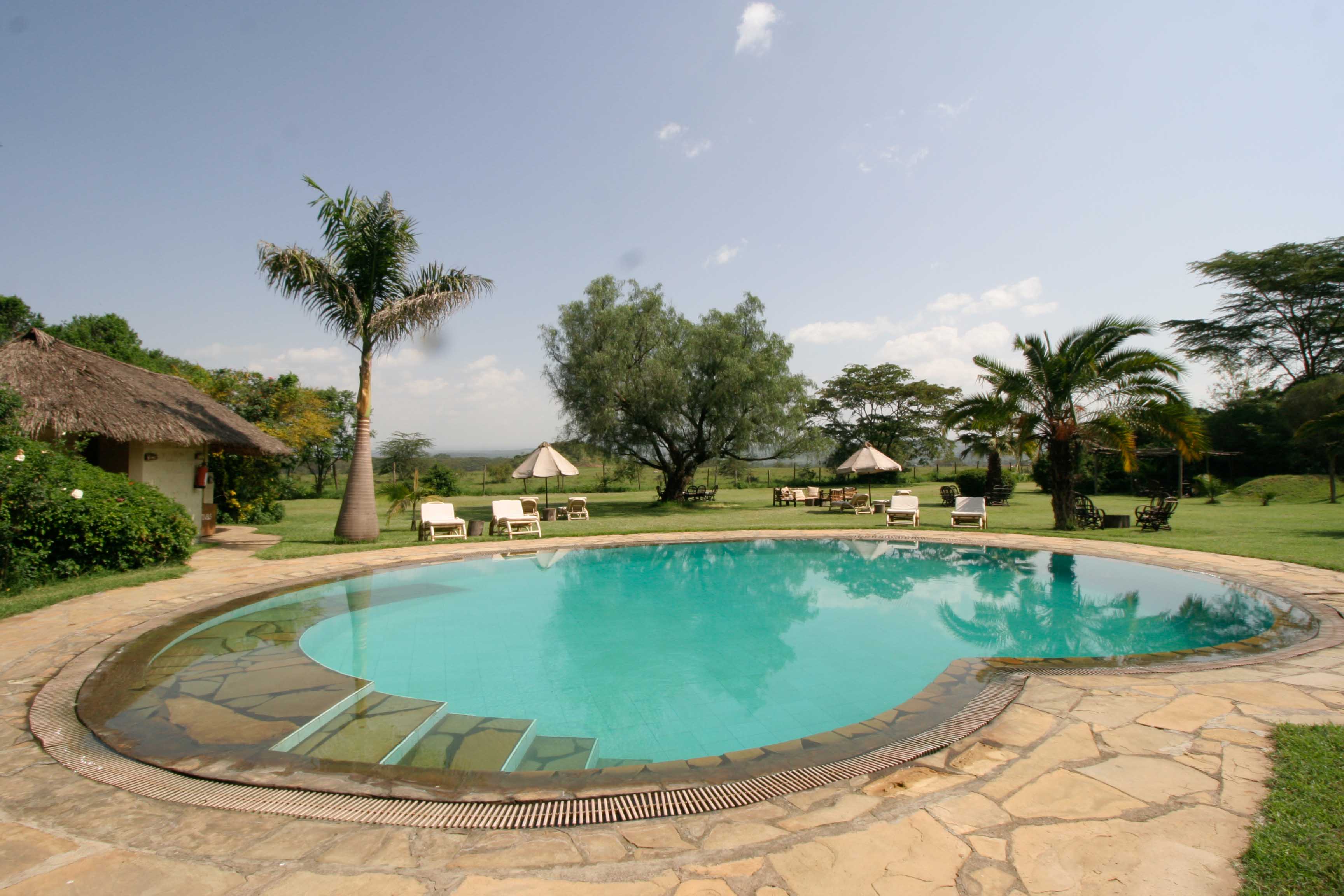 Gallery Image 6 - Dining