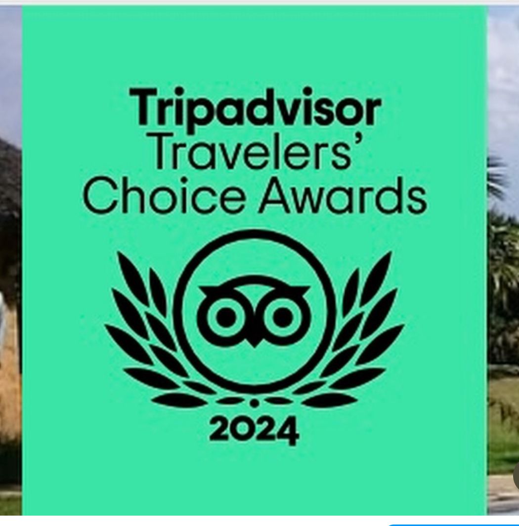 TripAdvisor Award Logo